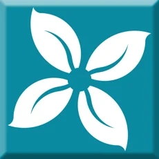 新商盟香港最近15期开奖号码软件app