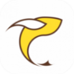 飞鱼浏览器香港最近15期开奖号码软件app